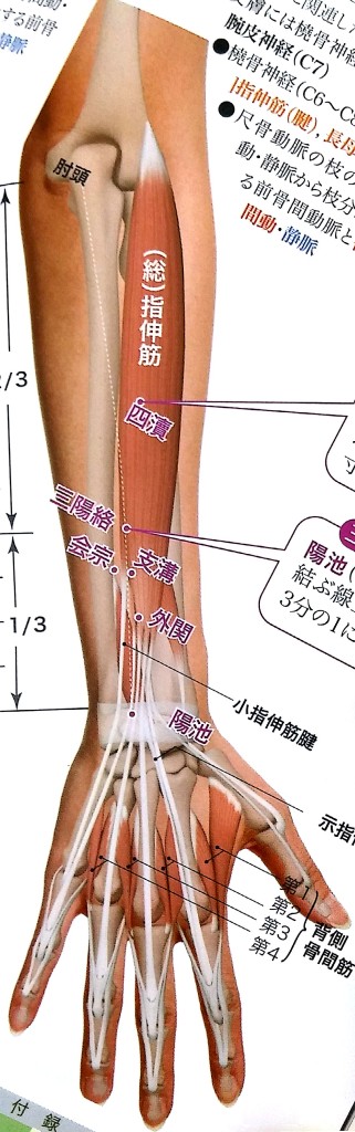 ぎっくり首 首の急な痛み のセルフ整体と原因と対処法を教えて 中野 内臓整体 骨格矯正 専門 肩こり腰痛はもりもと整体